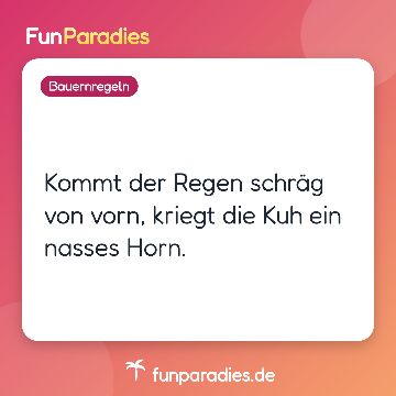 Kommt der Regen schräg von vorn, kriegt die Kuh ein nasses Horn.
