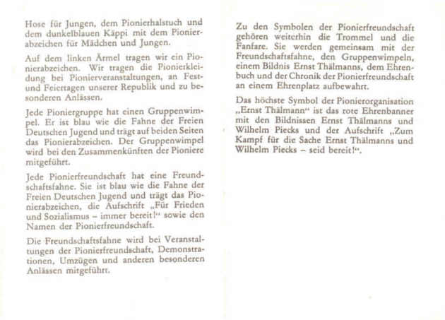 Pionierkleidung, Gruppenwimpel und Freundschaftsfahne