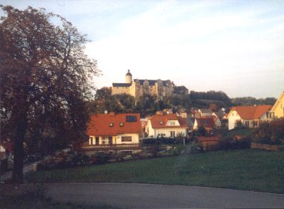 Blick über eine Wiese auf Ranis und die Burg