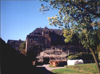 Die Burg mit Baugerüst, vorne ein Baum