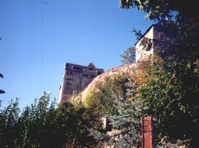 Burgmauer und Turm hinter Bäumen